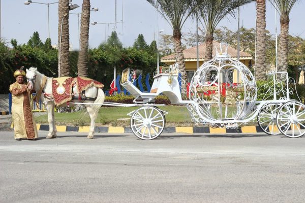 صور سيارات ومناسبات المنتهى ليموزين
