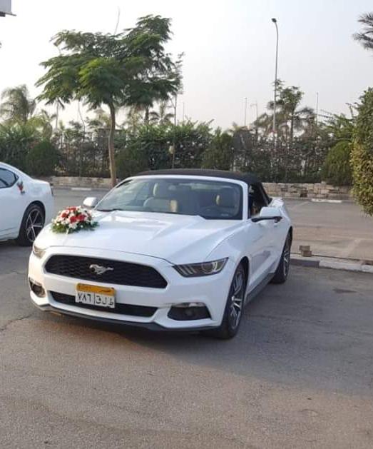 صور سيارات ومناسبات المنتهى ليموزين