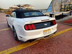 مستنج