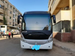 أتوبيس — 50 راكبًا