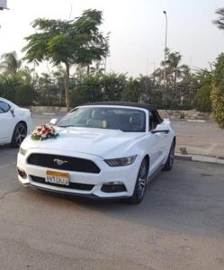 مستنج