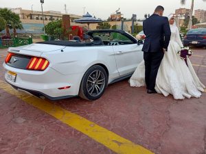 مستنج