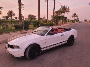 مستنج
