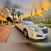 سيارات ليموزين أفراح