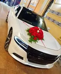 إيجار سيارة عروسة في مصر
